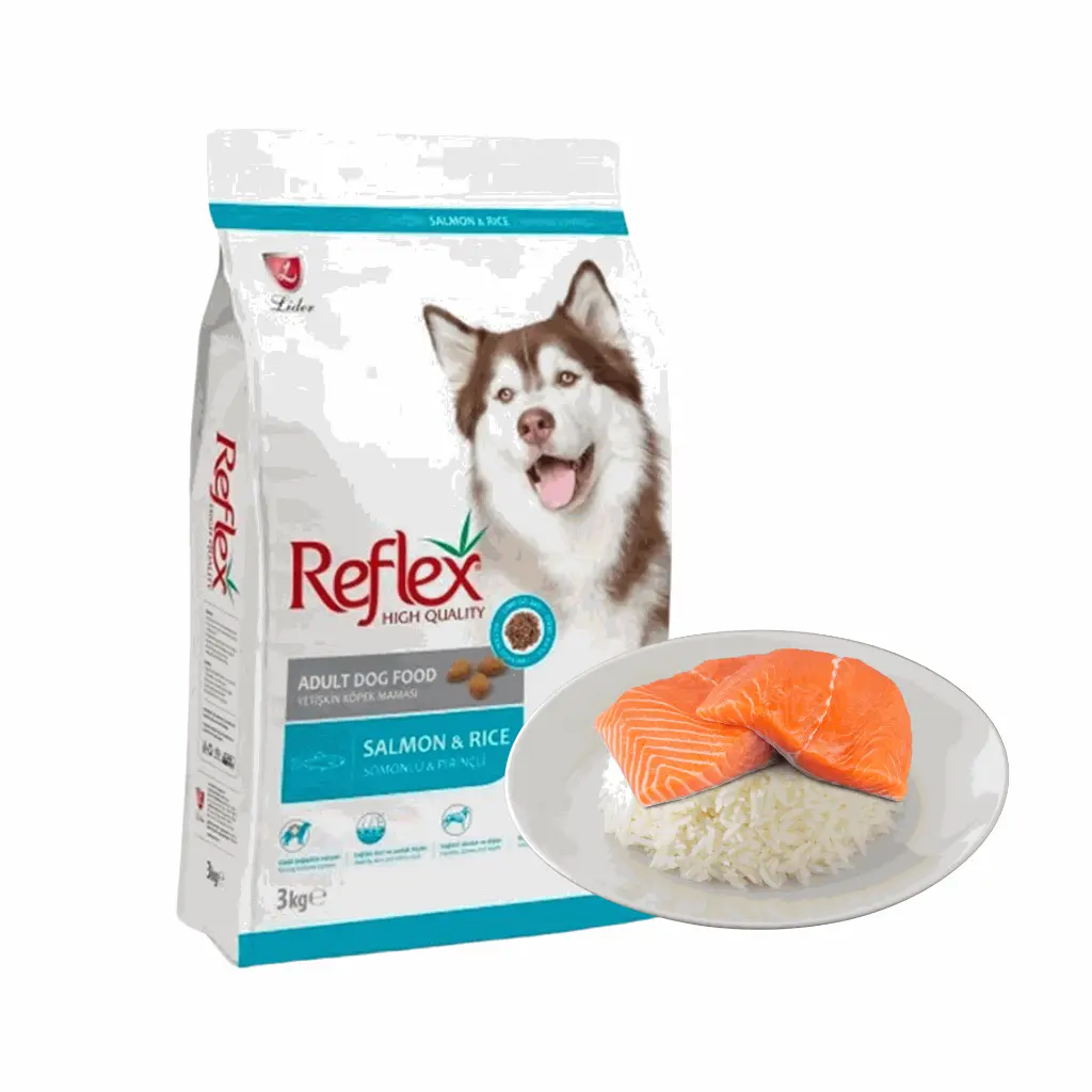 petsouq - 2025-07-30T122229.659.webp
