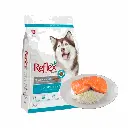 petsouq - 2025-07-30T122229.659.webp
