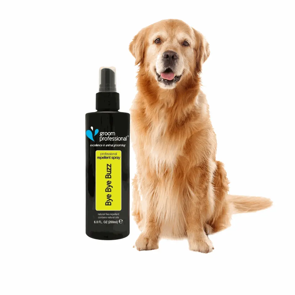 petsouq - 2025-07-30T130018.680.webp