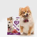 petsouq images - 2025-07-30T154528.207.webp