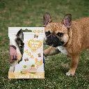 petsouq images - 2025-07-30T160125.849.webp