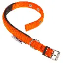 orange9.webp