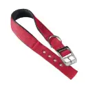 ferplast-daytona-dog-collar-nylon-collar-35cm-x-15mm-red.webp