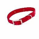 petsouq - 2025-07-30T162539.525.webp