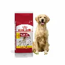 petsouq - 2025-07-31T162129.847.webp