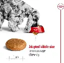 71TUeQDTPhL._AC_SL1320.webp