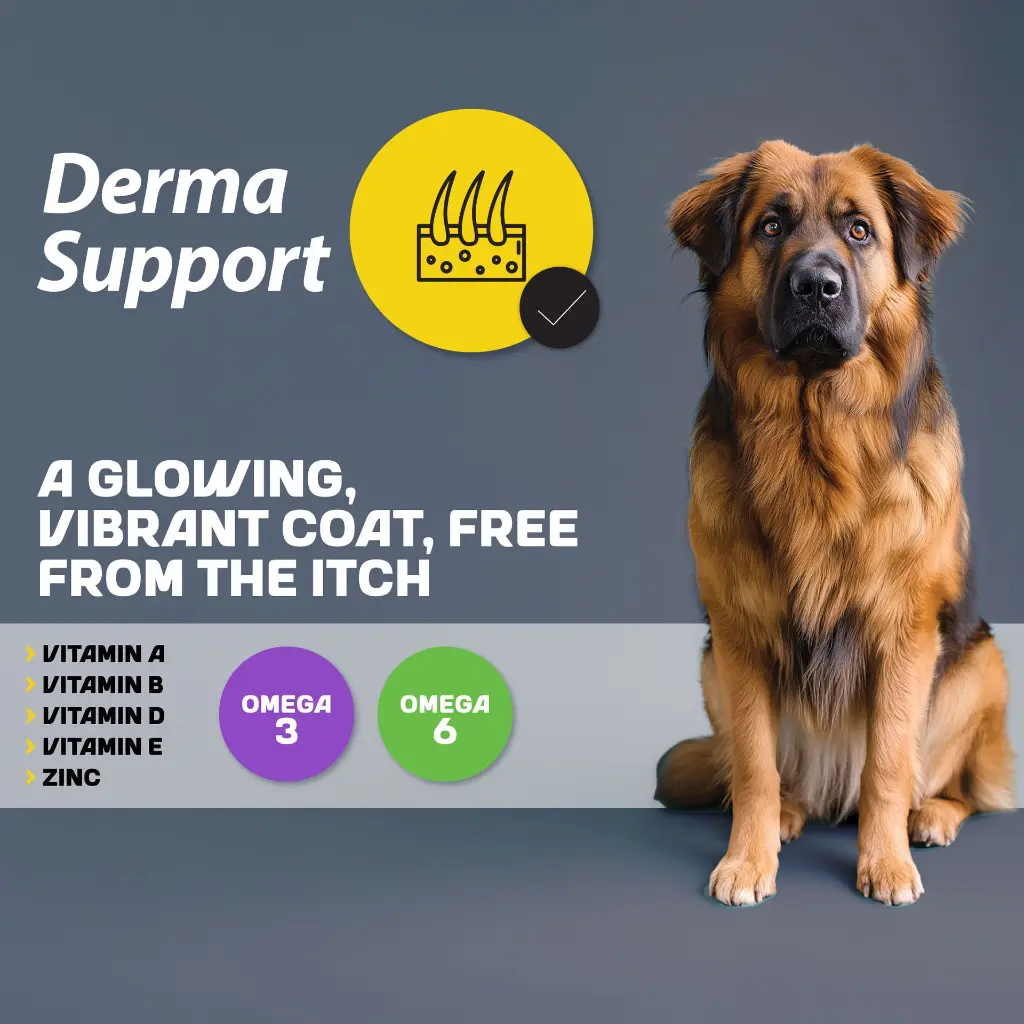 02-Derma-Support.webp