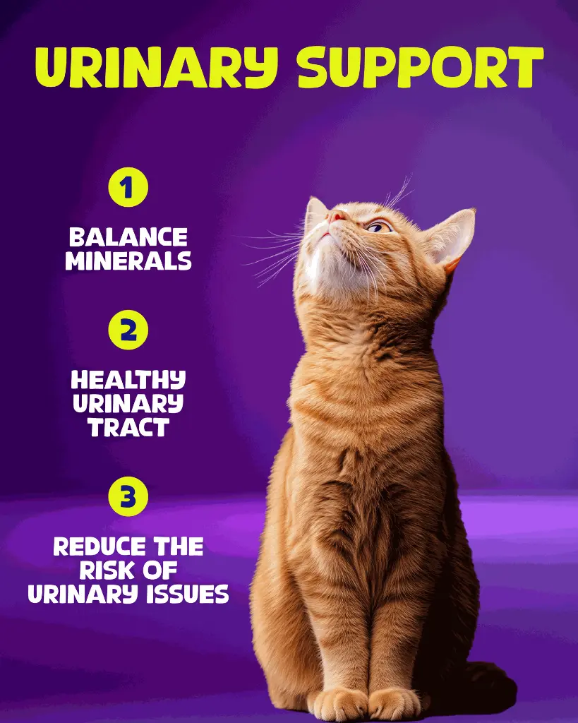 05-Cat food Urinary Support.webp