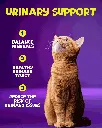 05-Cat food Urinary Support.webp
