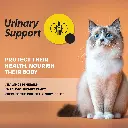 02-Salmon-Support.webp
