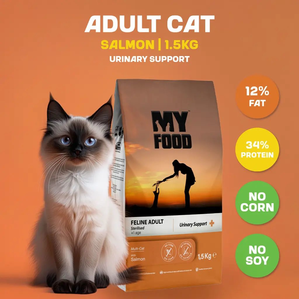 04-Bag-Size (1).webp