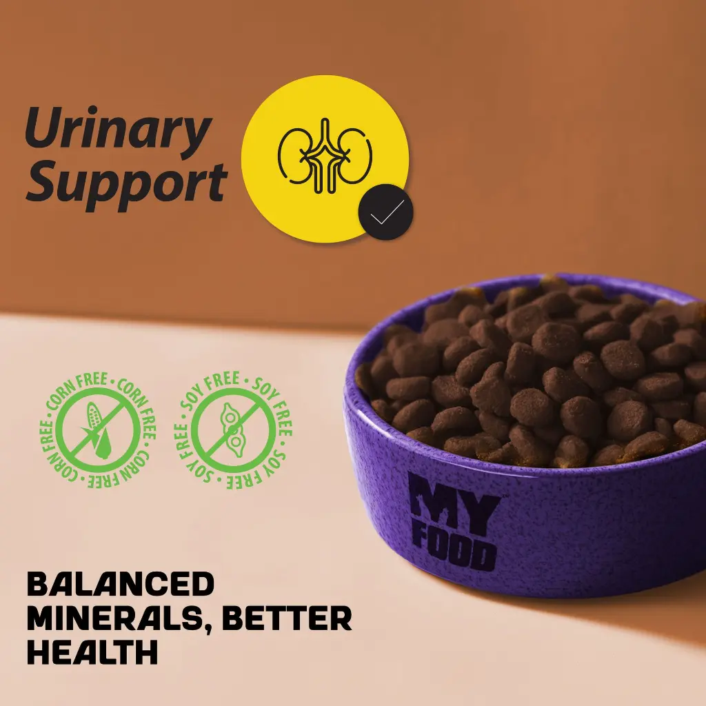 03-food-grain (1).webp