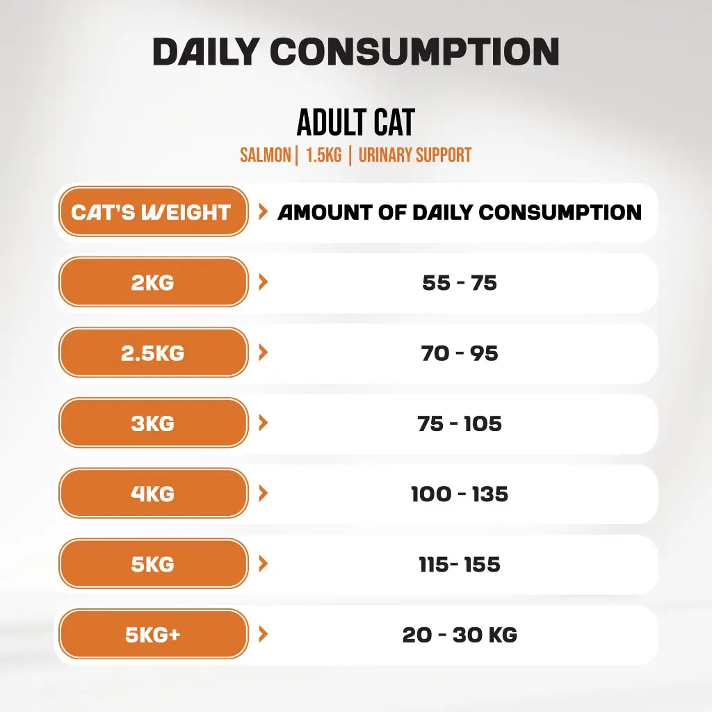 00-Amout-of-daily-consumption.webp