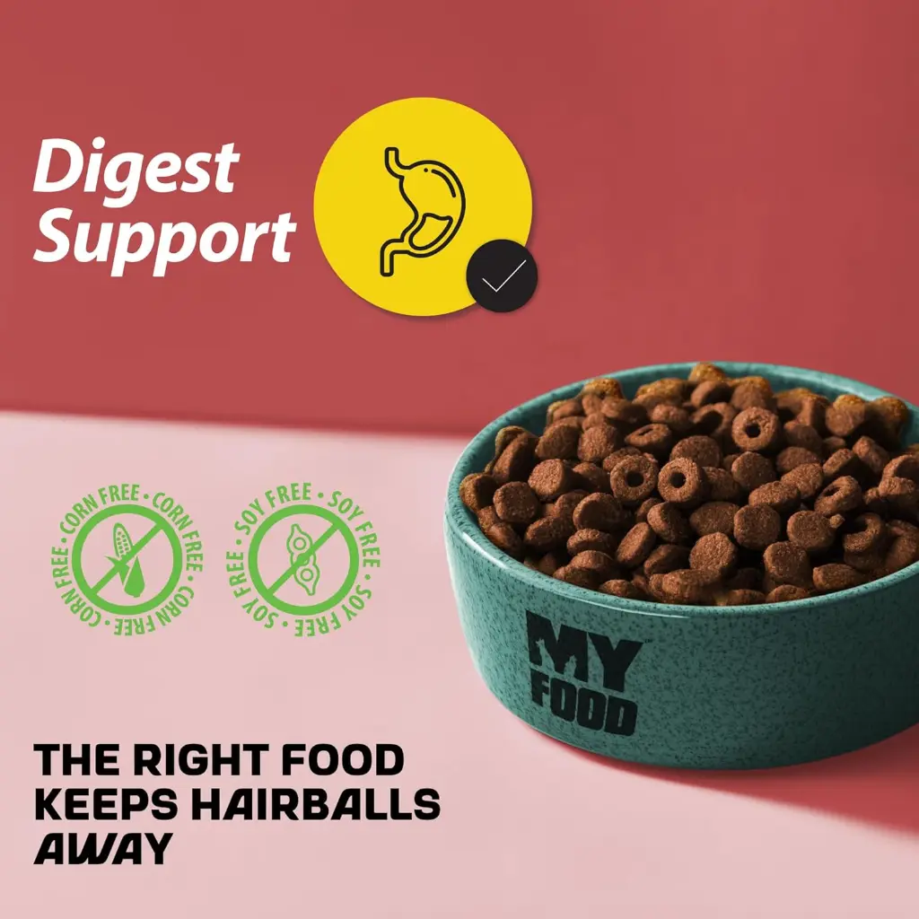 1748186250892687184 (1).webp