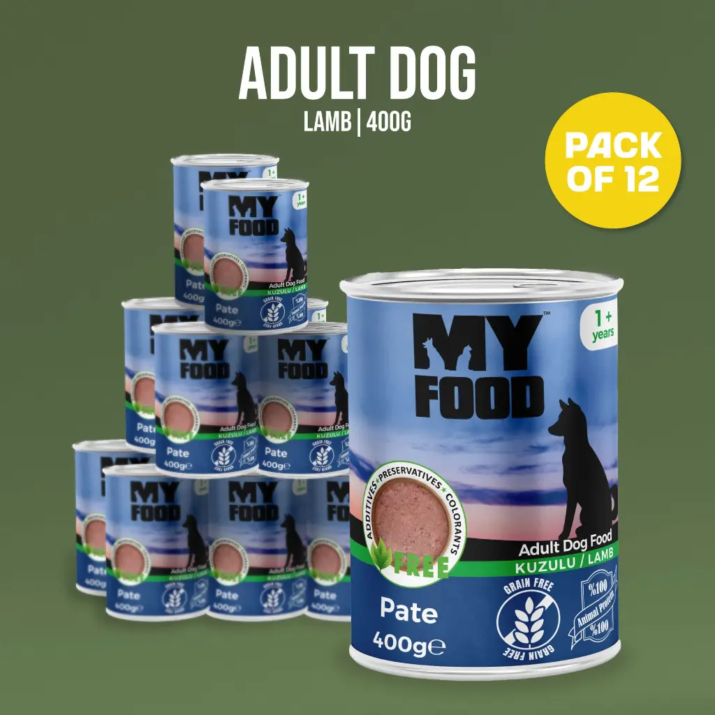 03-packs (3).webp