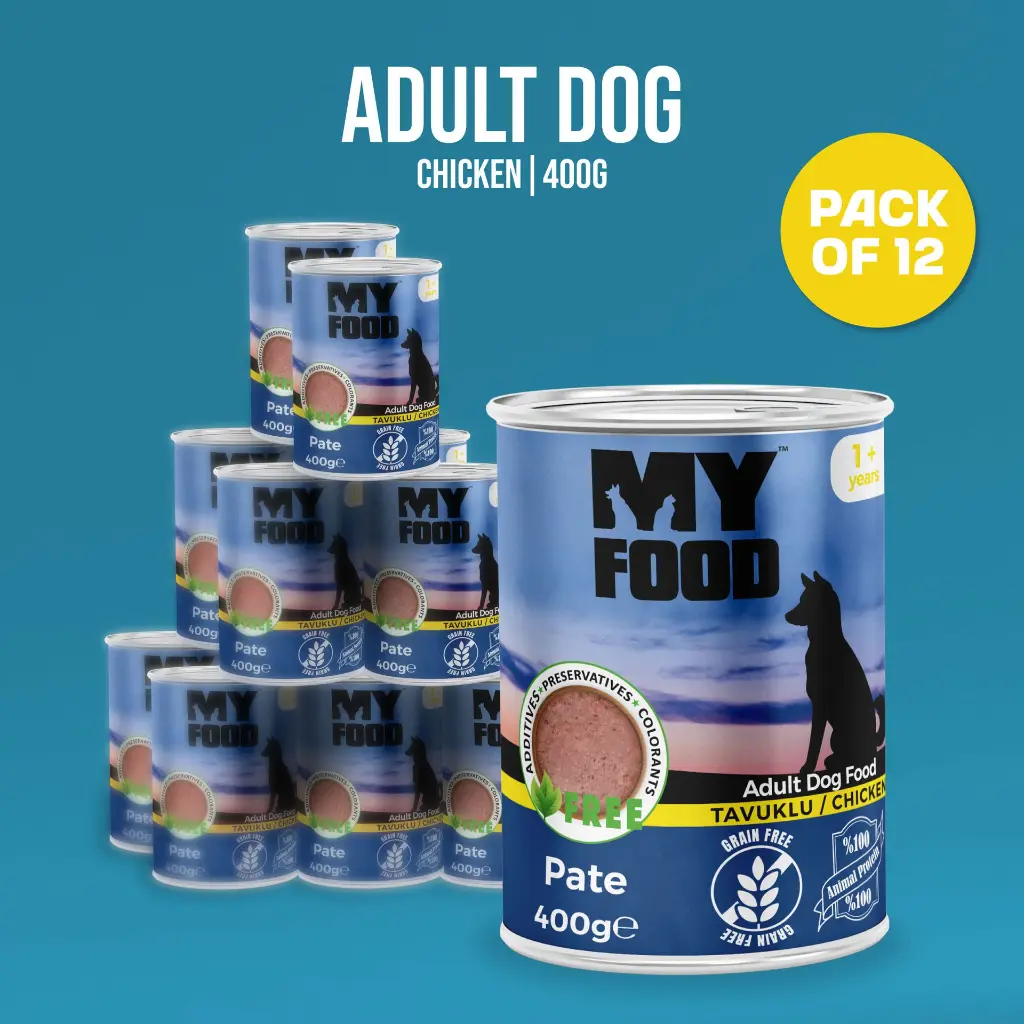 03-packs (5).webp