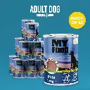 03-packs (5).webp