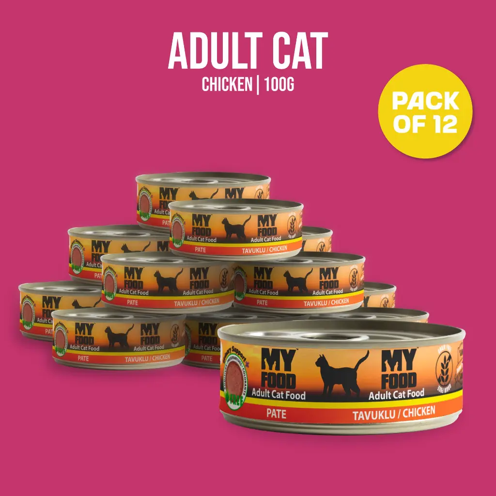 03-packs (6).webp