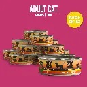 03-packs (6).webp