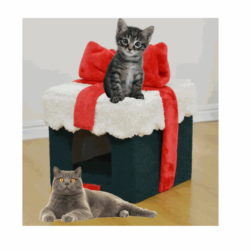 petsouq - 2025-08-04T105608.944.webp