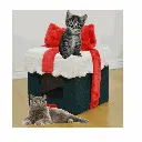 petsouq - 2025-08-04T105608.944.webp