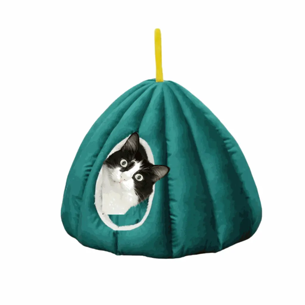 petsouq - 2025-08-04T123645.649.webp