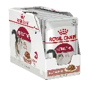 Royal_Canin_Instinctive_Gravy-1__48727.webp