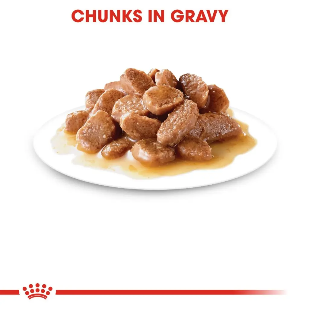 rc-fhn-wet-instinctivegravy-cv-eretailkit-3_.webp