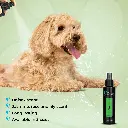 5052372059174d.webp