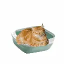petsouq - 2025-08-04T160222.446.webp
