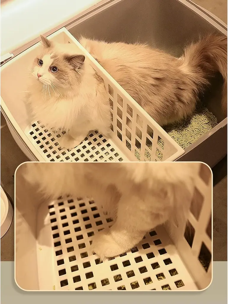 Pado Igloo Cat Litter Box 57.5_44_44cm-Blue (1).webp