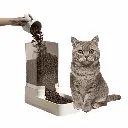 petsouq - 2025-08-04T162554.178.webp