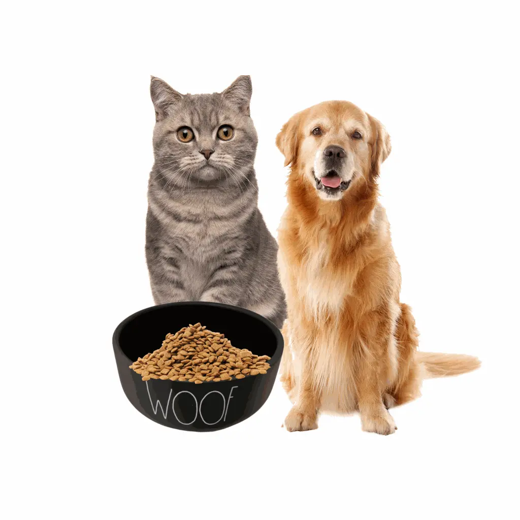 petsouq - 2025-08-04T165922.585.webp