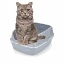 petsouq - 2025-08-05T121617.674.webp