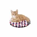 petsouq - 2025-08-05T162854.584.webp