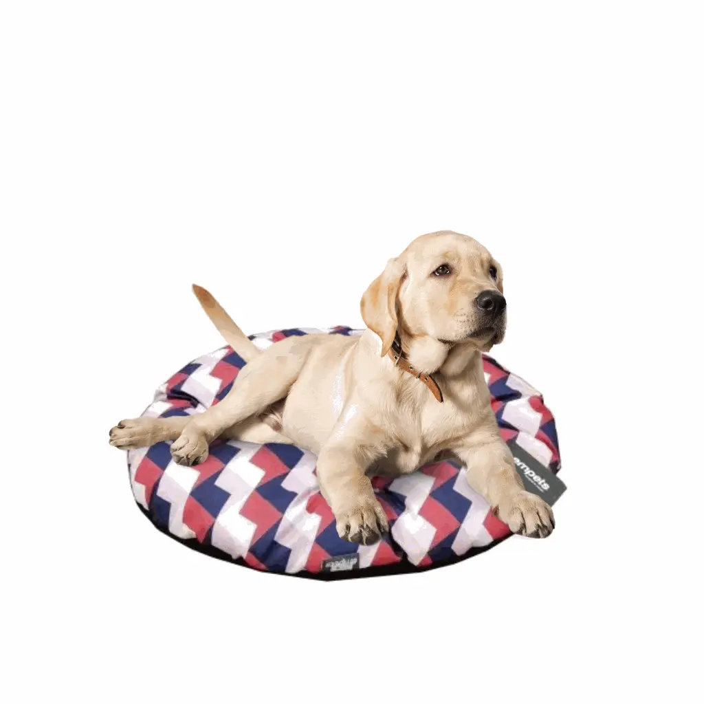 petsouq - 2025-08-05T163108.366.webp