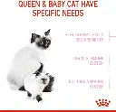 61VuEfFZF8L._AC_SL1200_.webp