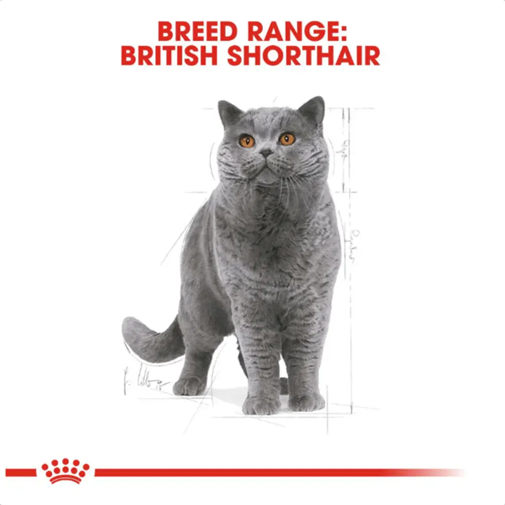 royal_canin_british_shorthair_adult_dry_cat_food_3__1_1.webp