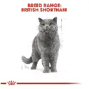 royal_canin_british_shorthair_adult_dry_cat_food_3__1_1.webp