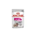 Royal Canin Dog Wet Food Mini Exigent Fussy Appetite 85g-1100x1100.webp