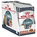 Royal_Canin_Hairball_Care_In_Gravy-1__13642.webp