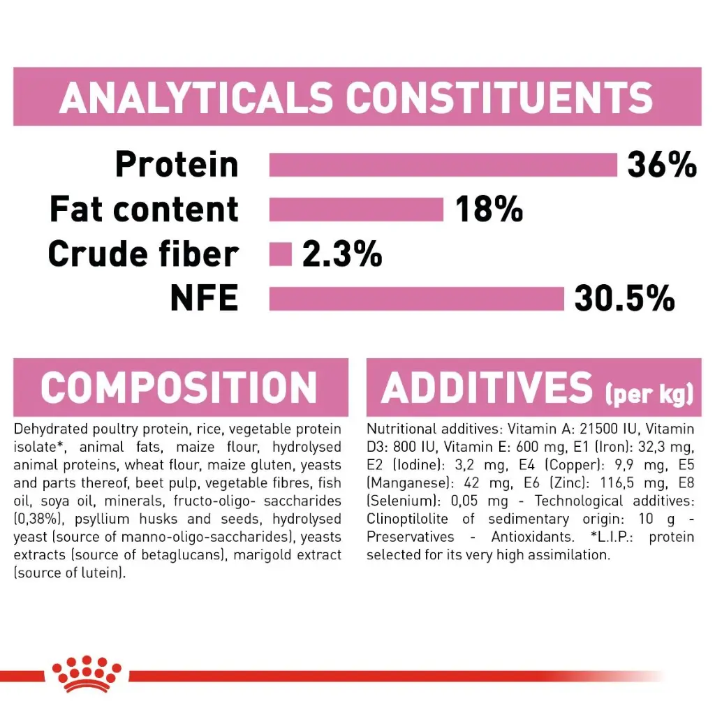 rc-fhn-kitten-cv-eretailkit-7_.webp