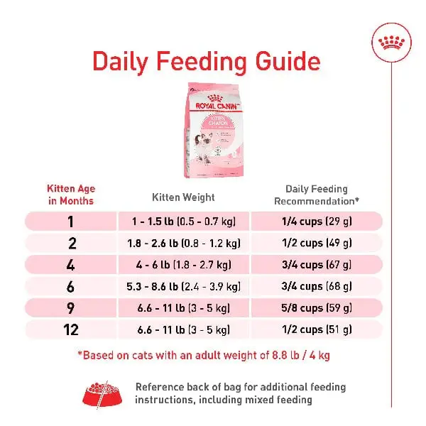 royal-canin-royal-canin-kitten-dry-cat-food-1177048498.webp
