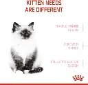 61ZFRR4z8dL._AC_SL1200_.webp