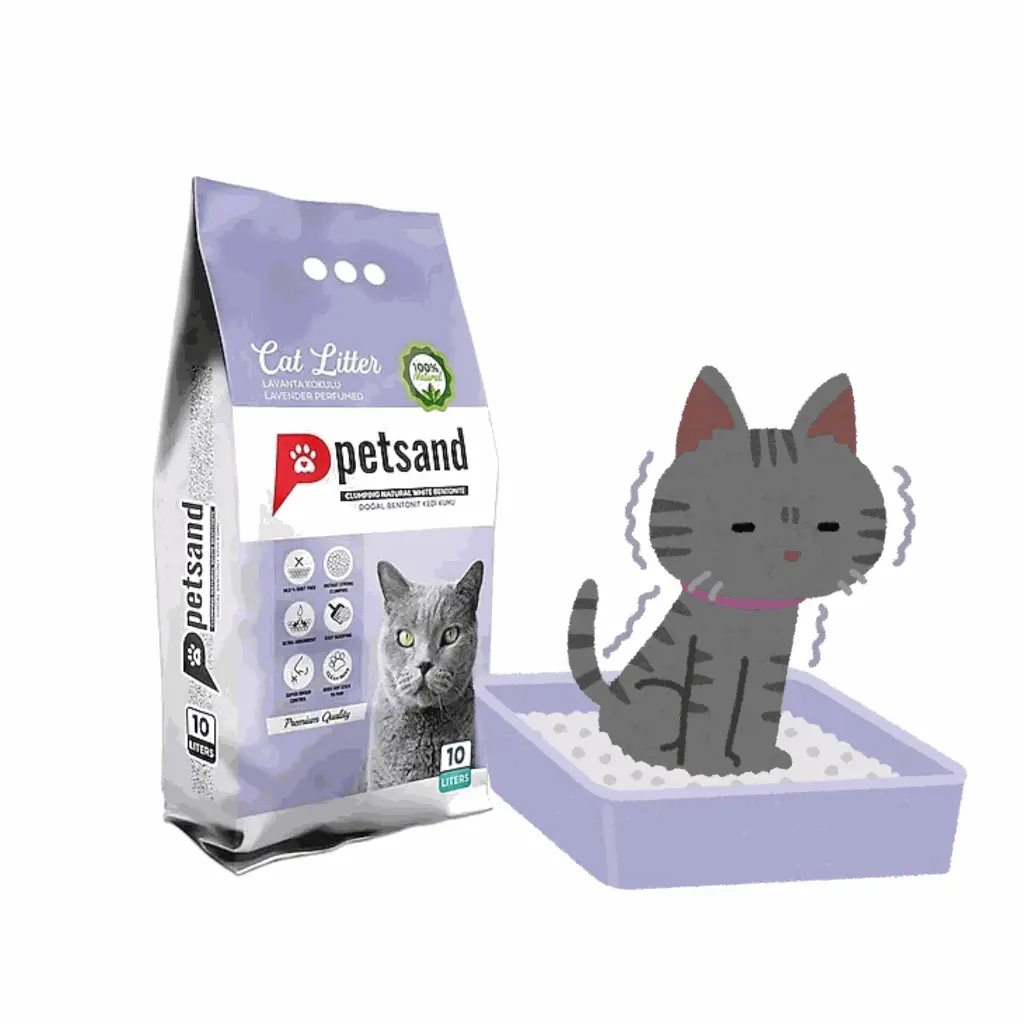 Jonette (17).webp
