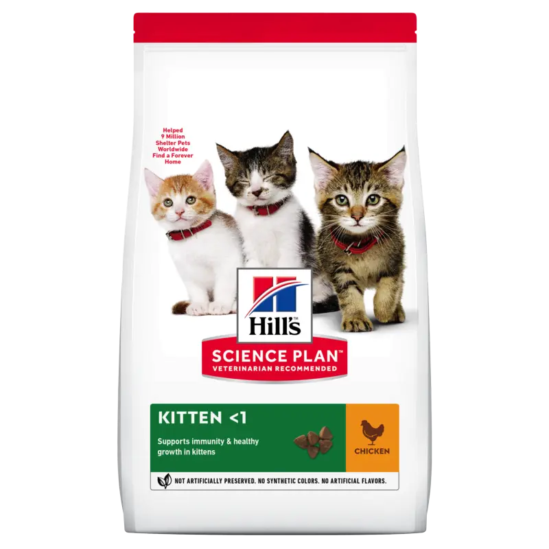 Kitten-Chicken-604045_604048_604049_604050.webp