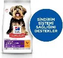 [604247] Hills Science Plan Sensitive Stomach & Skin Small & Mini Adult Dog Food with Chicken 1 (1).webp