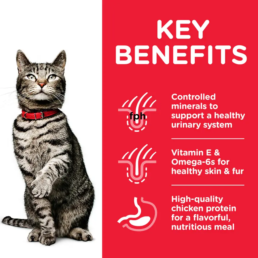 Thumbnail2_604135_Keybenefits (1).webp
