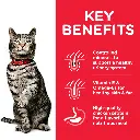 Thumbnail2_604135_Keybenefits (1).webp