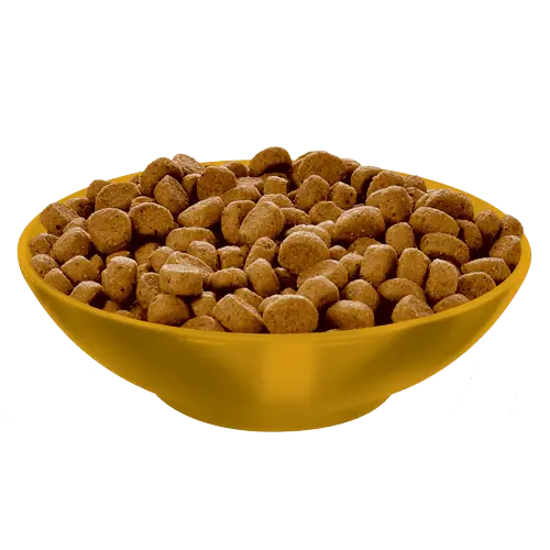 sd-feline-adult-perfect-weight-dry-productKibble_500_500x500.webp